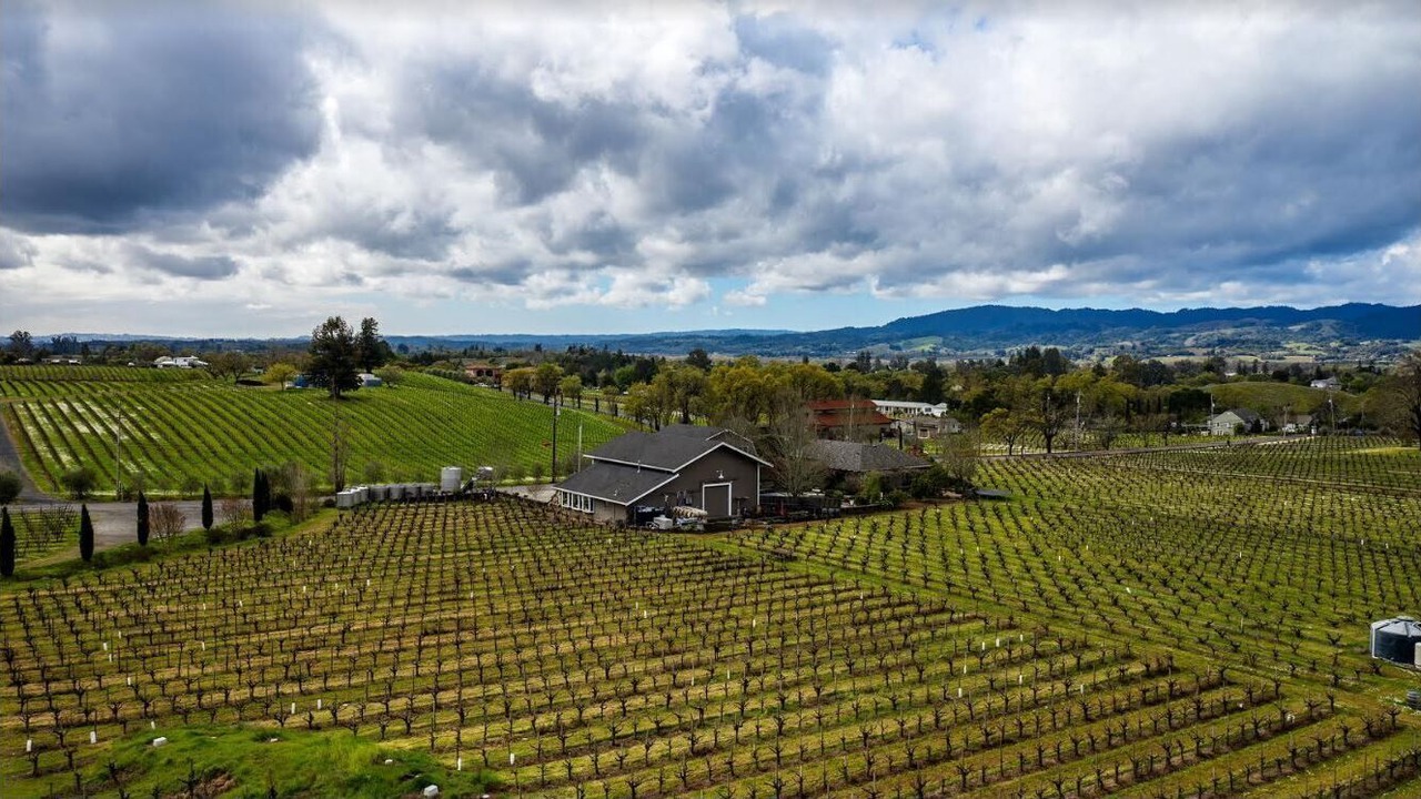 Photo of Outdoor in Healdsburg