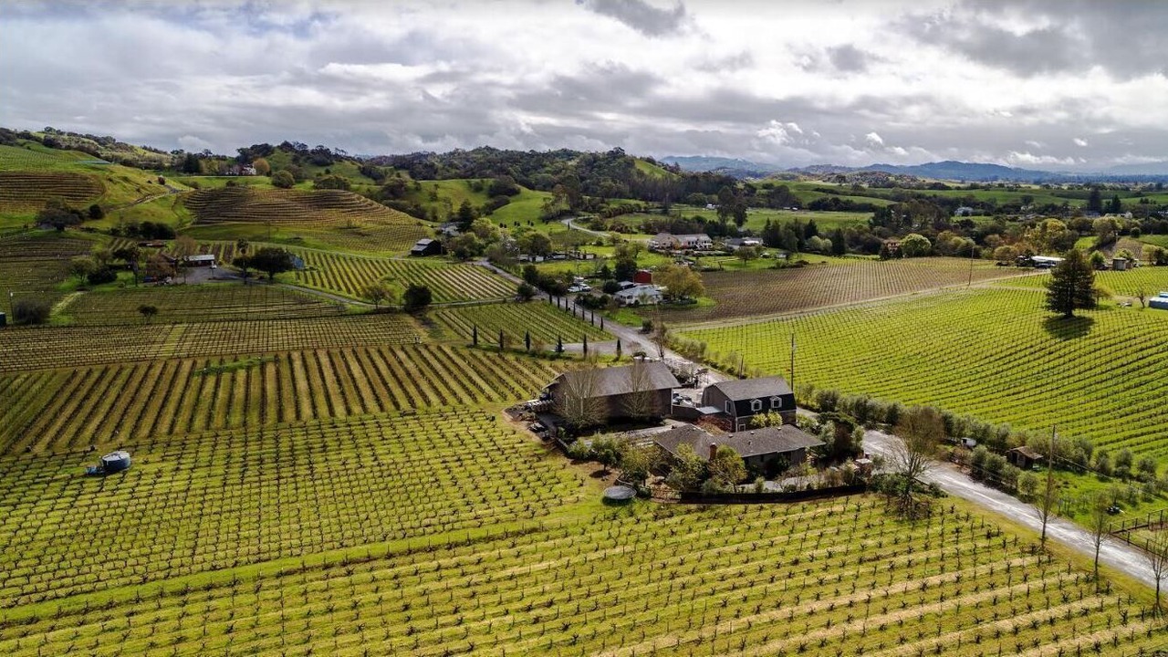 Photo of Outdoor in Healdsburg