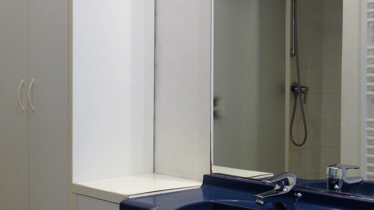 Photo of Bathroom in Marine de Saint Ambroggio