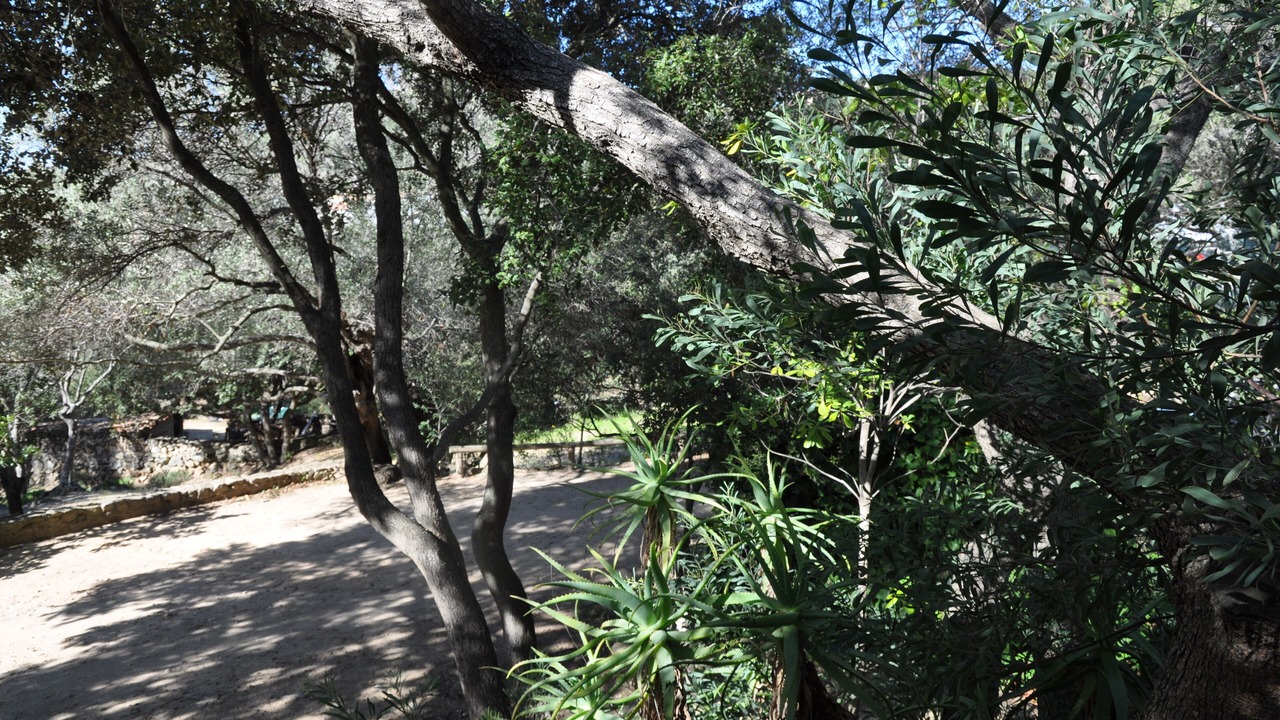 Photo of Outdoor in Lumio