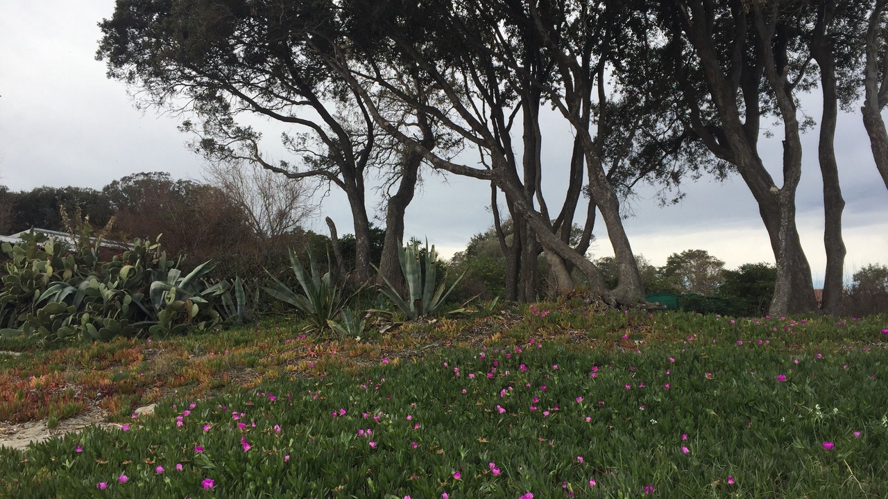 Photo of Outdoor in Prunete