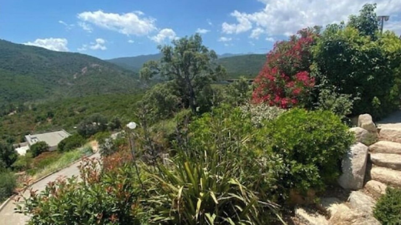 Photo of Outdoor in Tarcu