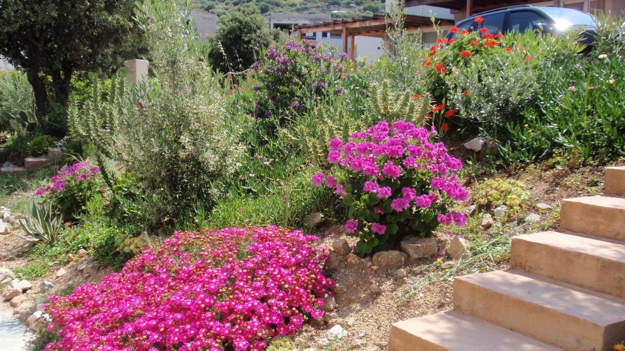 Photo of Outdoor in Marine de Saint Ambroggio