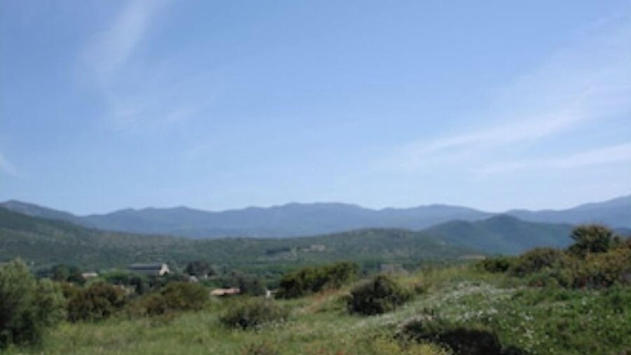 Photo of Others in Saint-Florent
