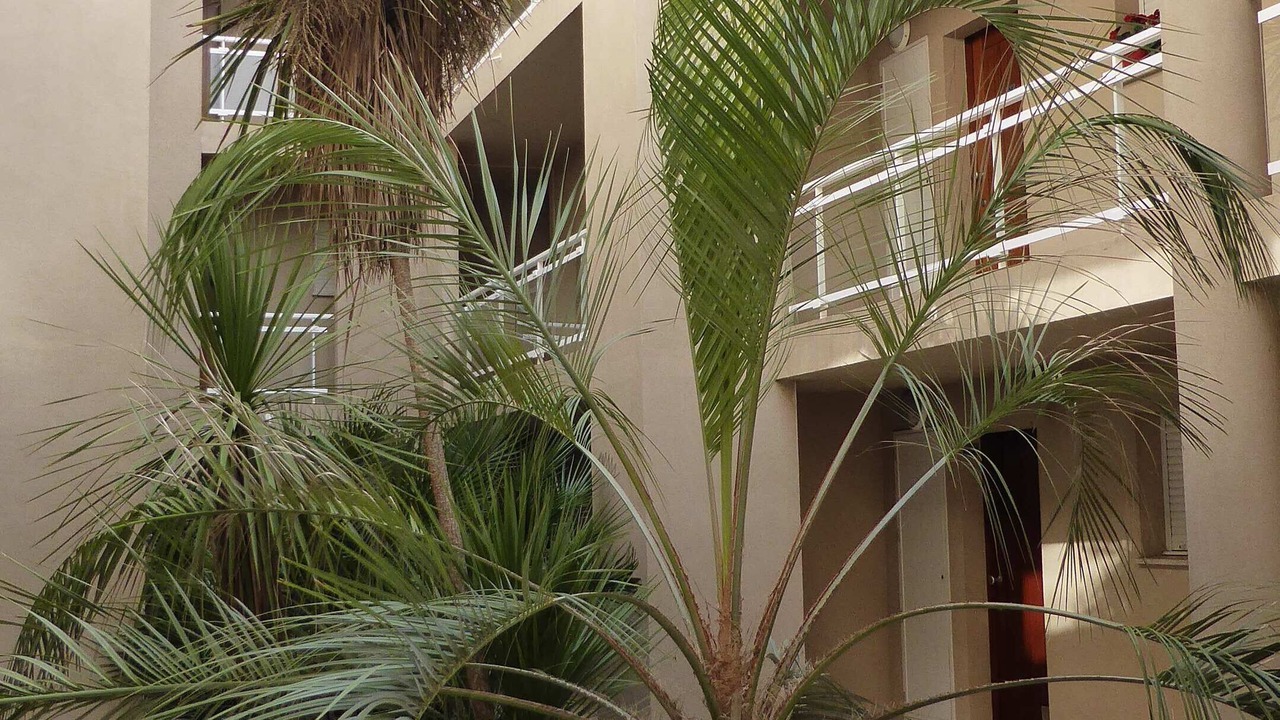 Photo of Outdoor in Santa-Lucia-di-Moriani