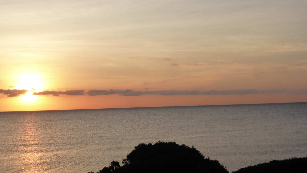 Photo of Others in Santa-Lucia-di-Moriani