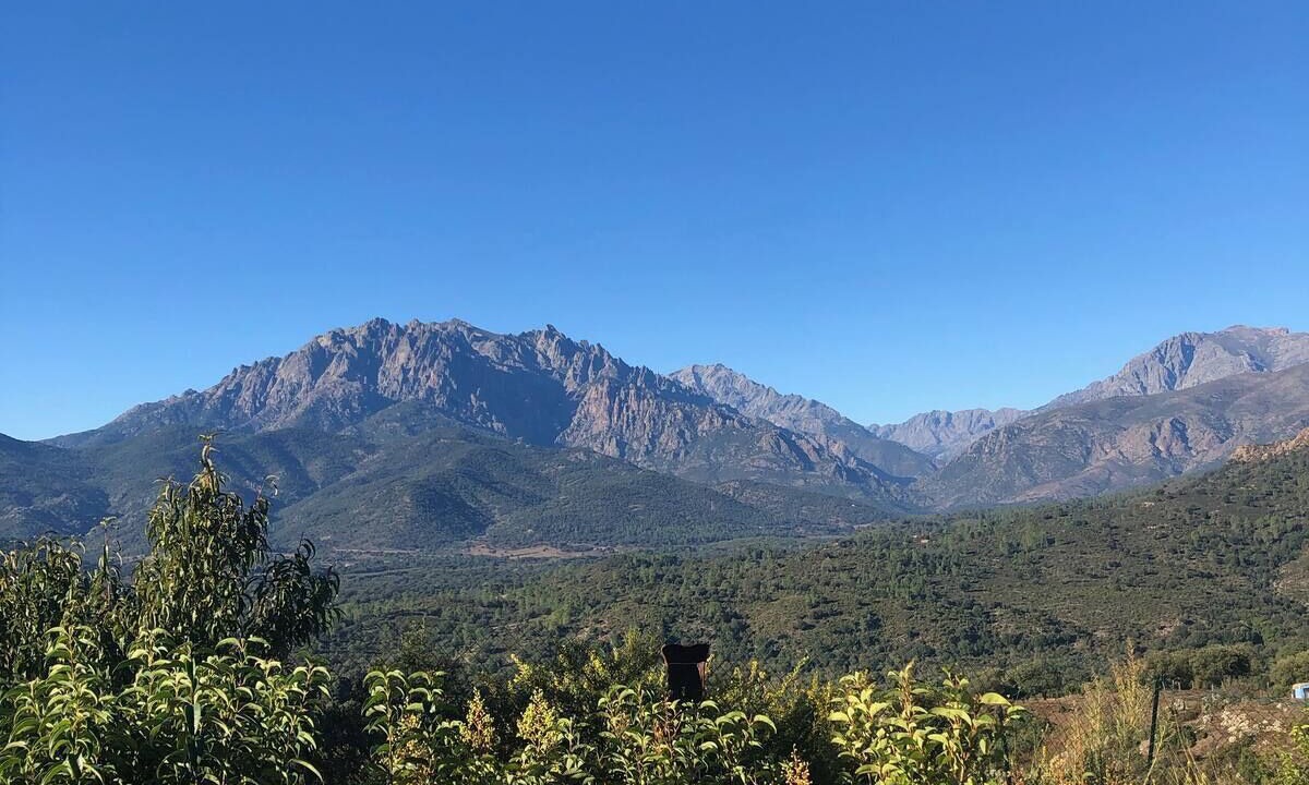 Photo of Outdoor in Canavaggia