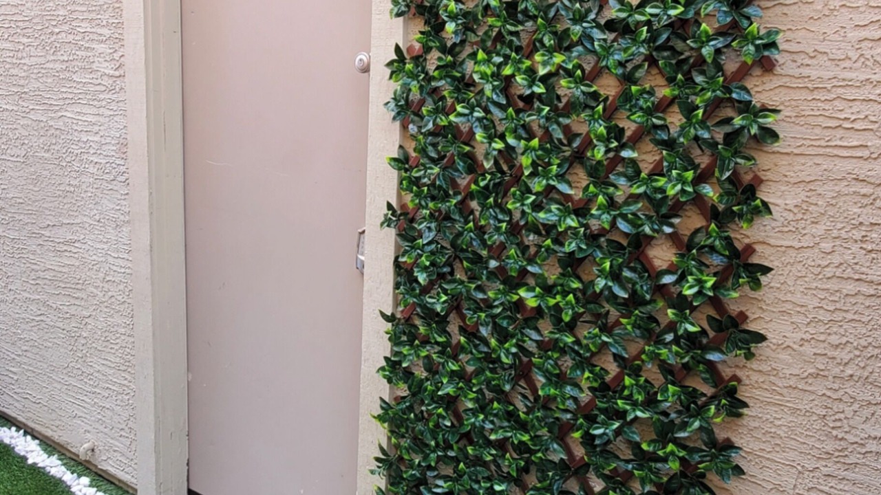 Photo of Outdoor in Estrella Village