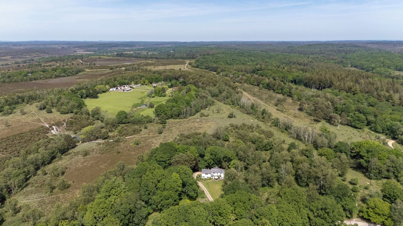 Photo of Outdoor in New Forest District