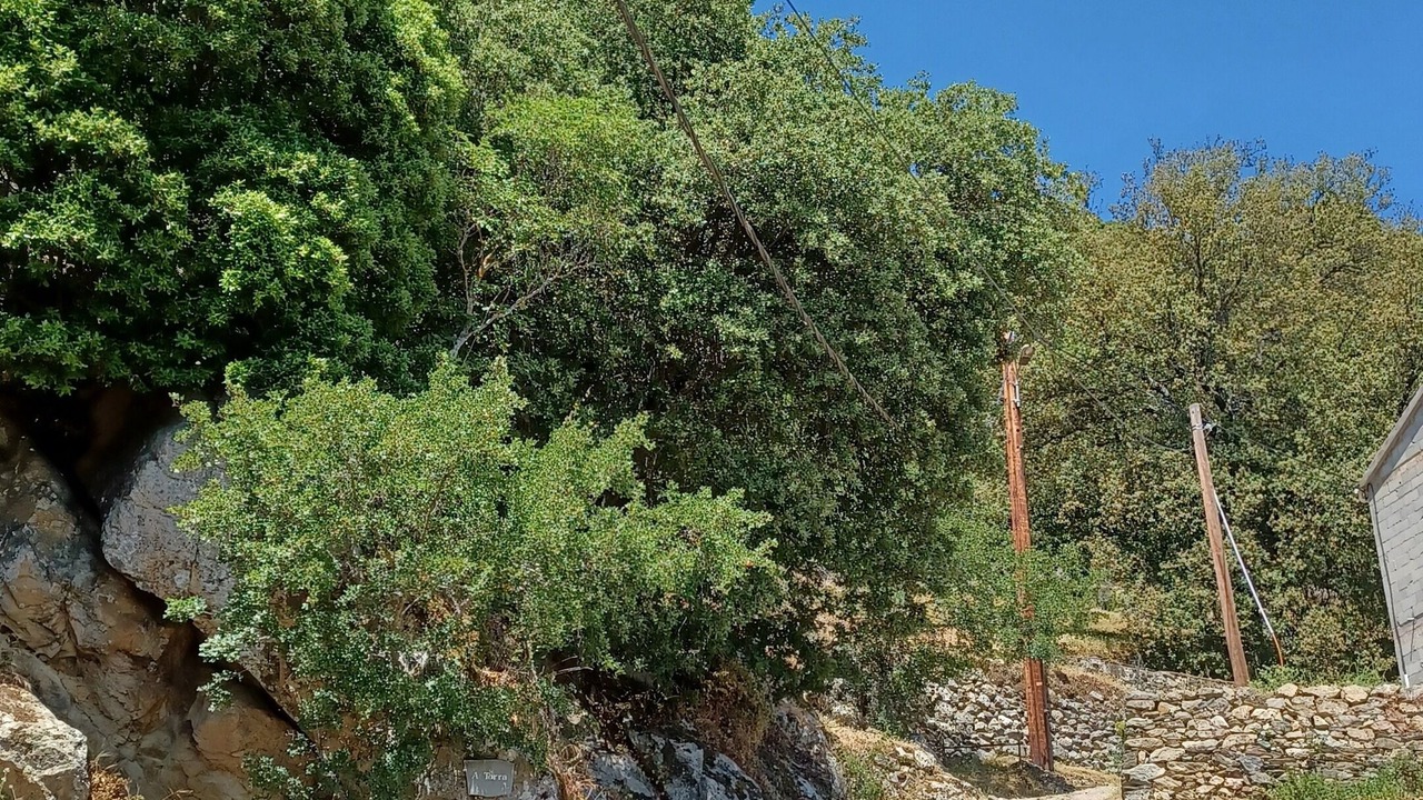 Photo of Others in Moltifao
