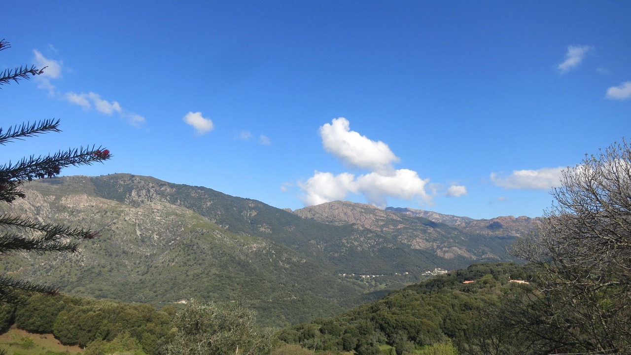 Photo of Others in Olmiccia