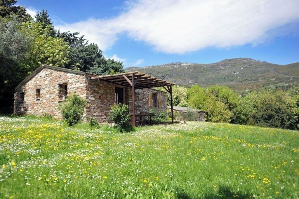 Photo of Outdoor in Sisco