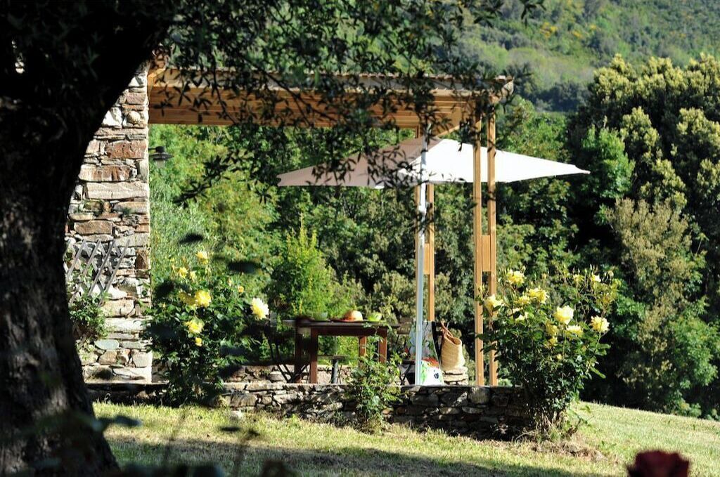 Photo of Outdoor in Sisco