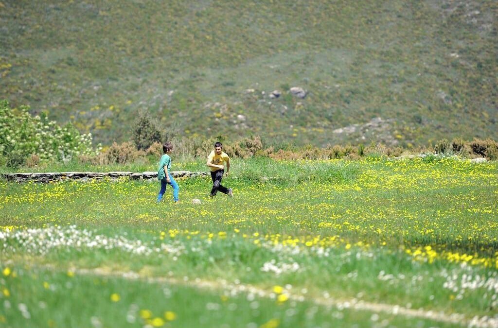 Photo of Others in Sisco