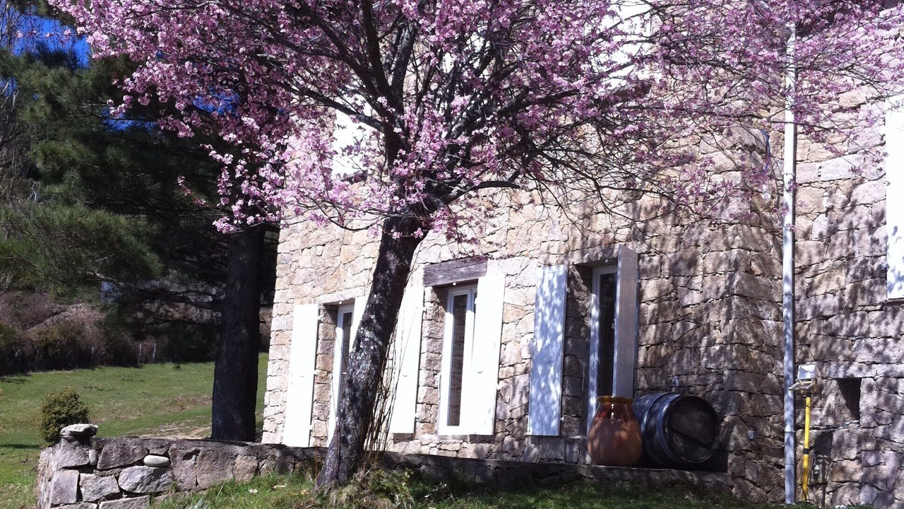 Photo of Outdoor in Sampolo
