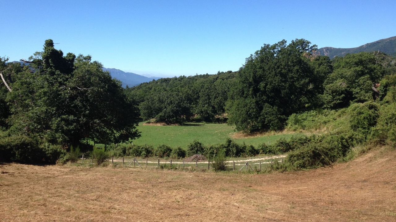 Photo of Outdoor in Sampolo