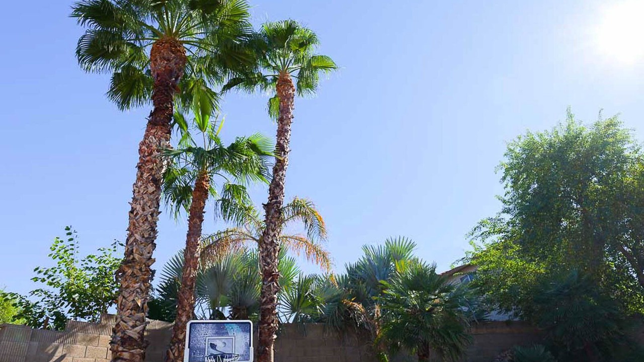 Photo of Others in Paradise Valley Village