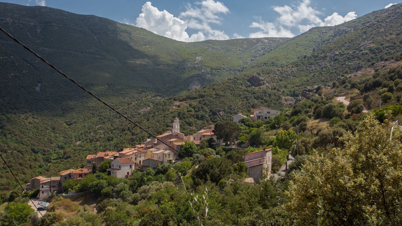 Photo of Others in Palasca