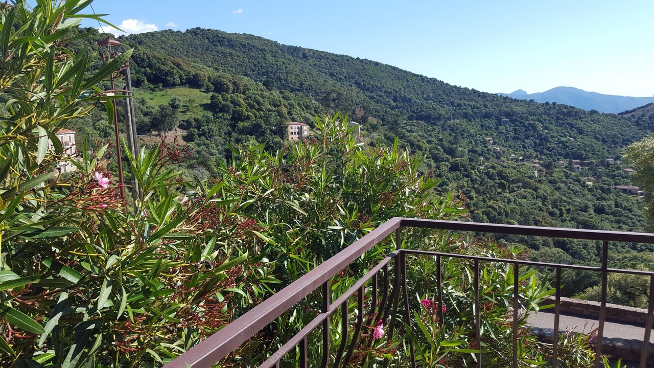 Photo of Outdoor in Partinello