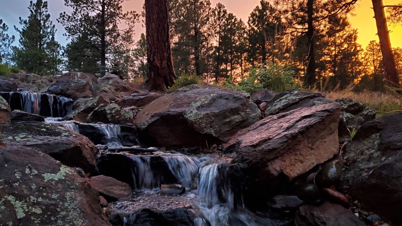 Photo of Others in Flagstaff