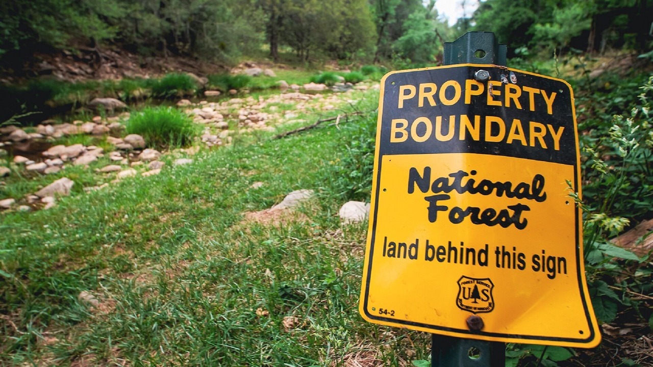 Photo of Outdoor in Whispering Pines