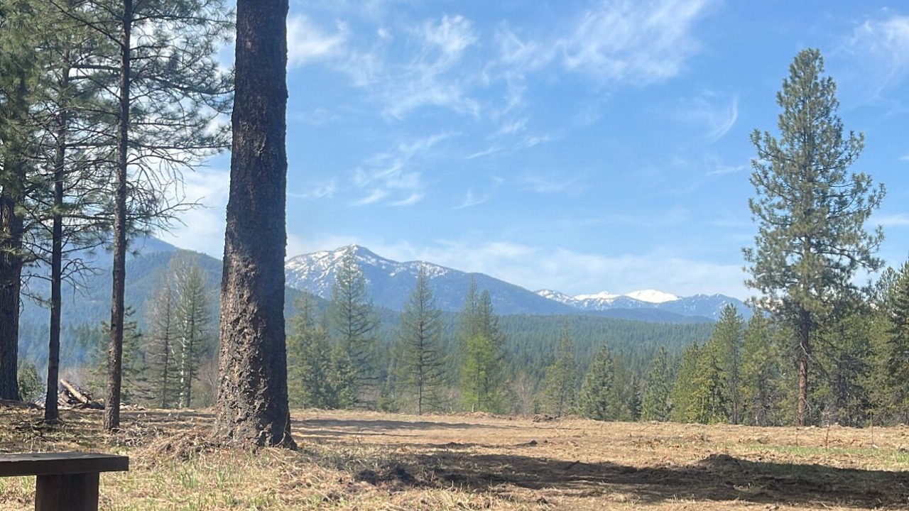 Photo of Outdoor in Libby