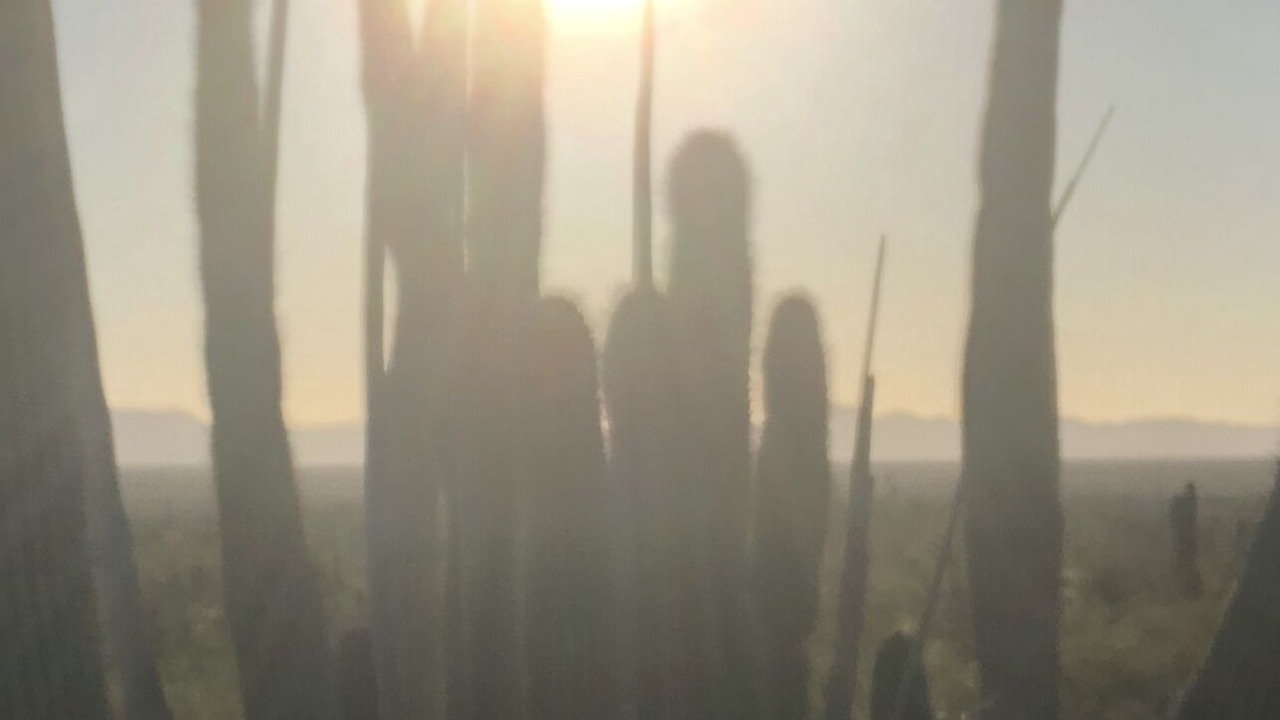 Photo of Outdoor in Apache Junction