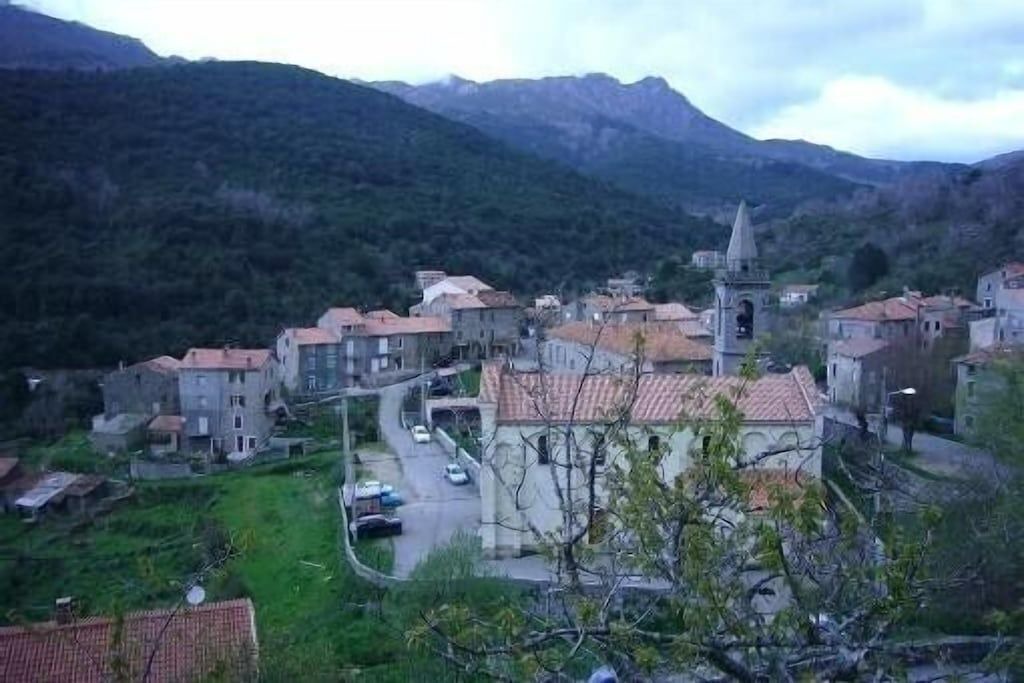 Photo of Outdoor in Frasseto
