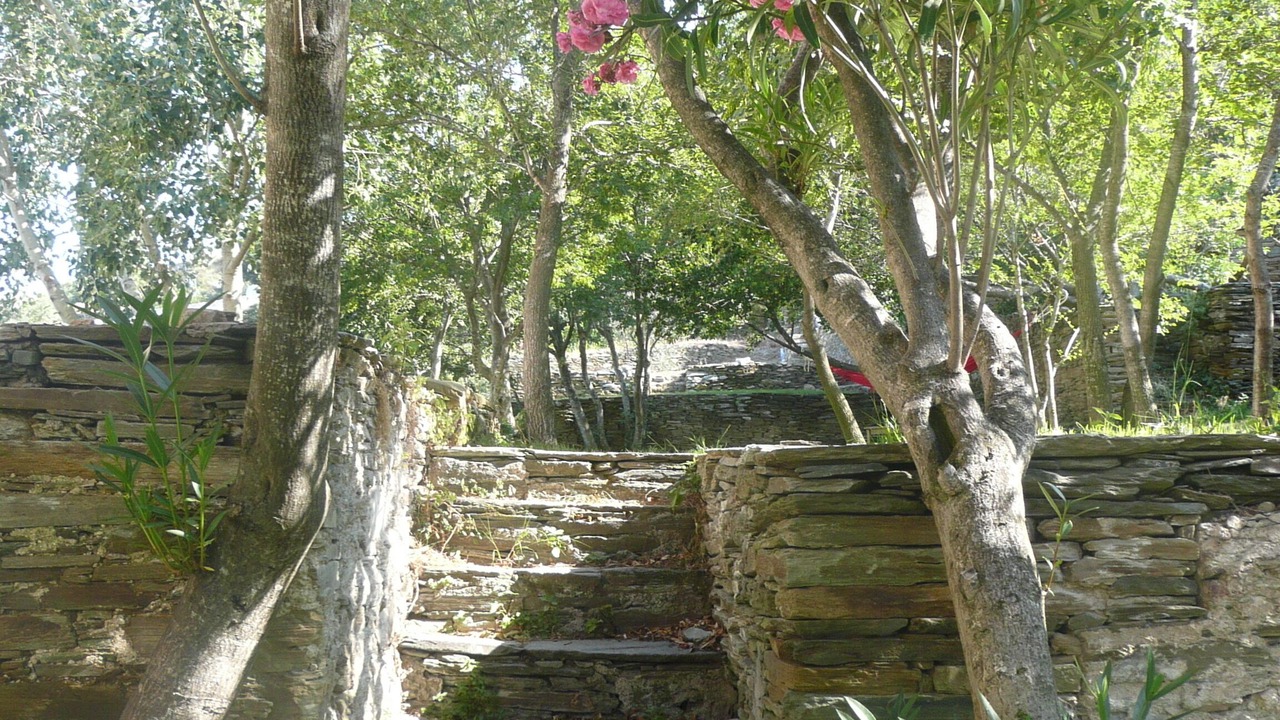 Photo of Outdoor in Centuri