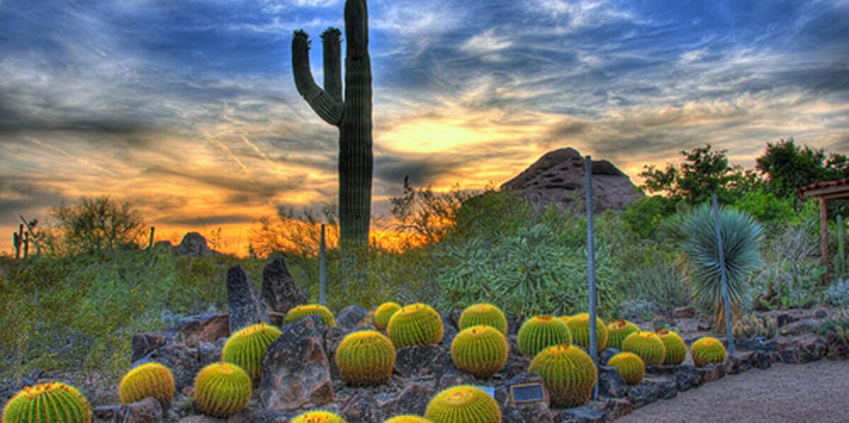 Photo of Others in Chandler
