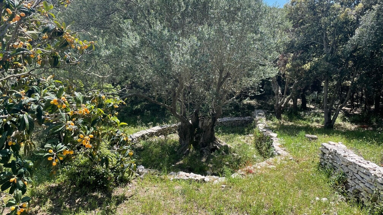 Photo of Outdoor in Bonifacio