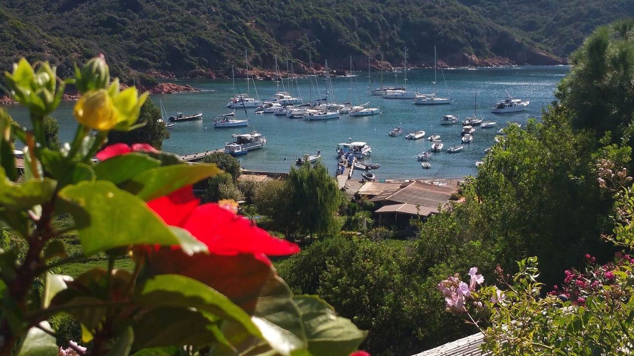 Photo of Outdoor in Osani