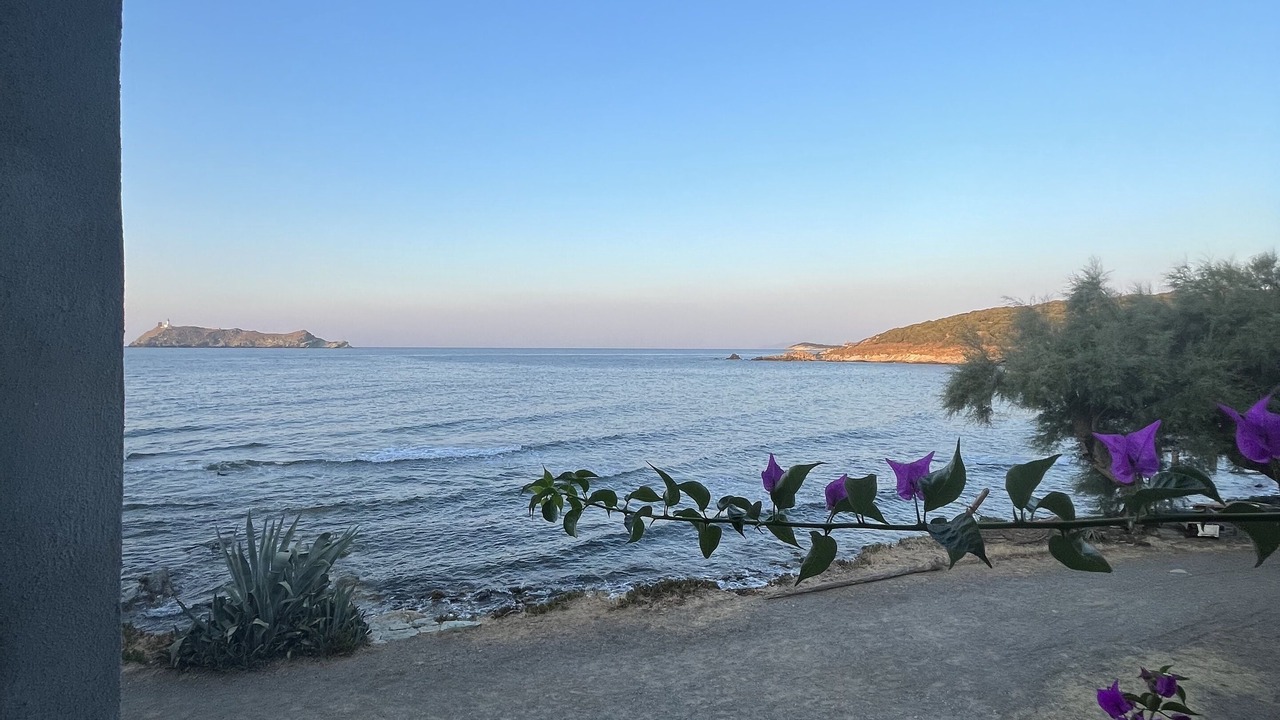 Photo of Outdoor in Barcaggio
