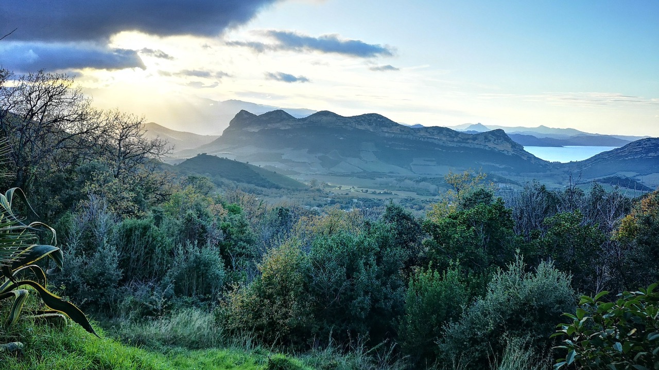 Photo of Outdoor in Barbaggio