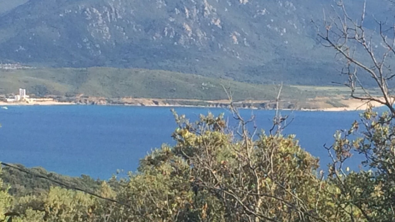 Photo of Others in Olmeto