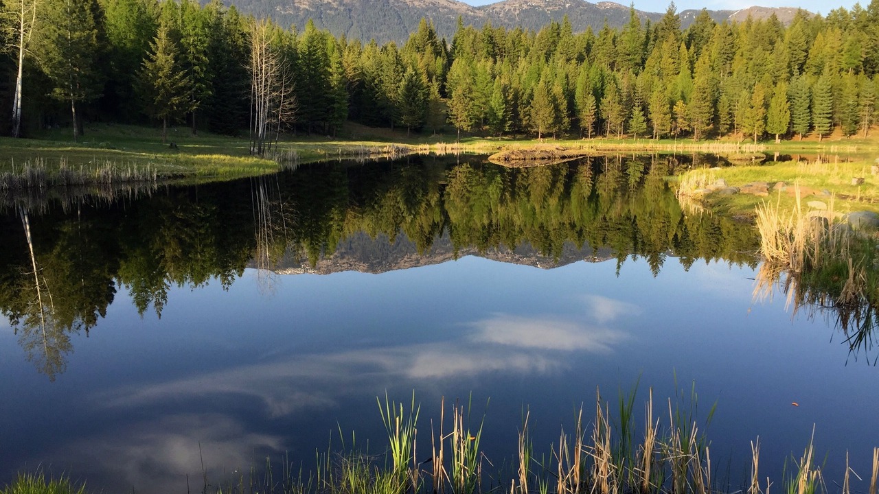 Photo of Outdoor in Bonners Ferry