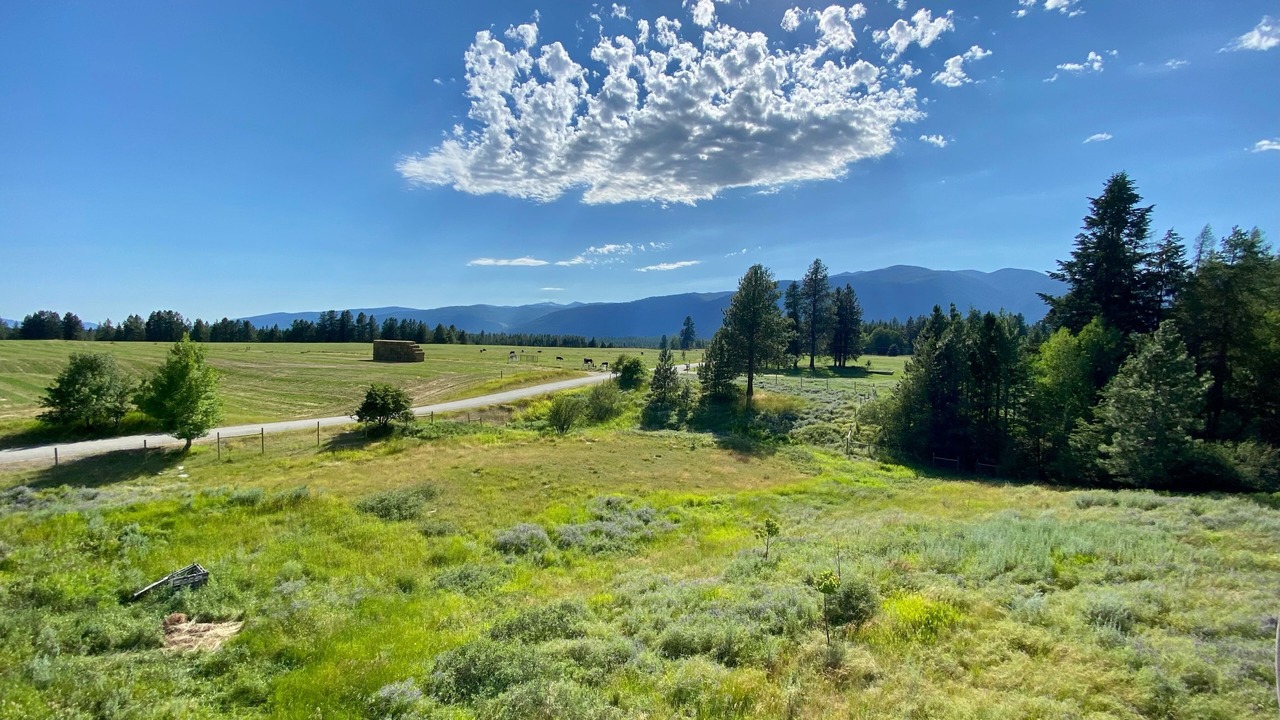 Photo of Outdoor in Bonners Ferry