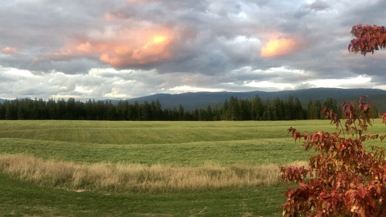 Photo of Others in Bonners Ferry