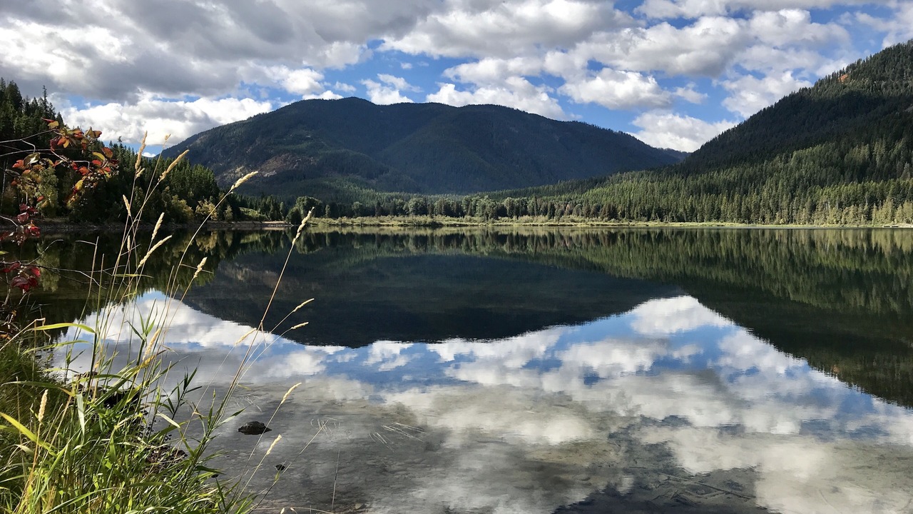 Photo of Others in Bonners Ferry