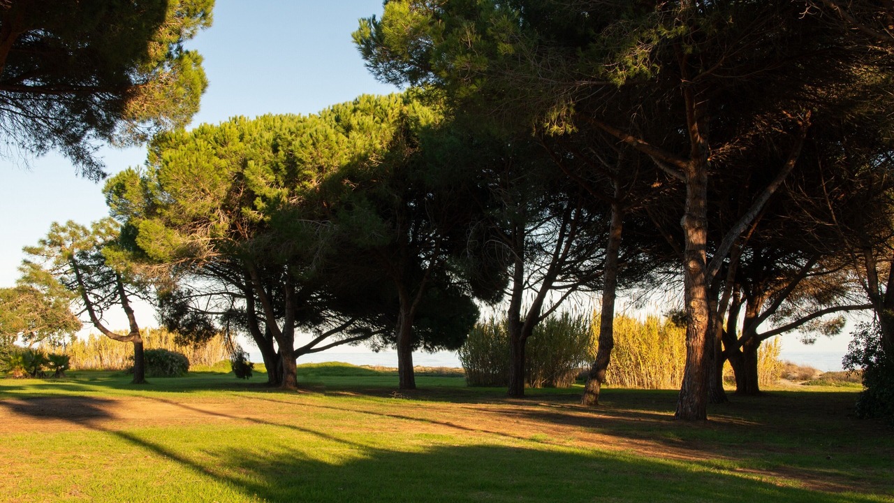 Photo of Others in Poggio-Mezzana