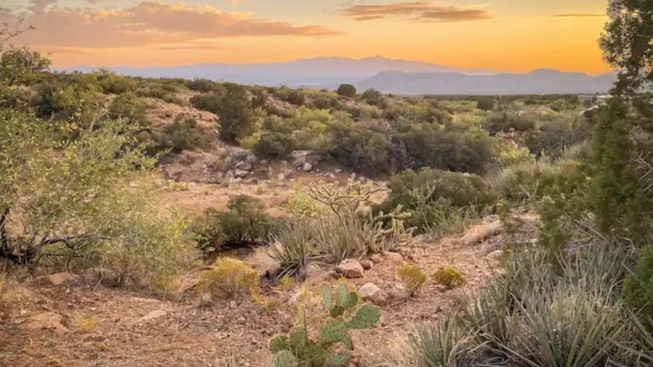 Photo of Outdoor in Kingman