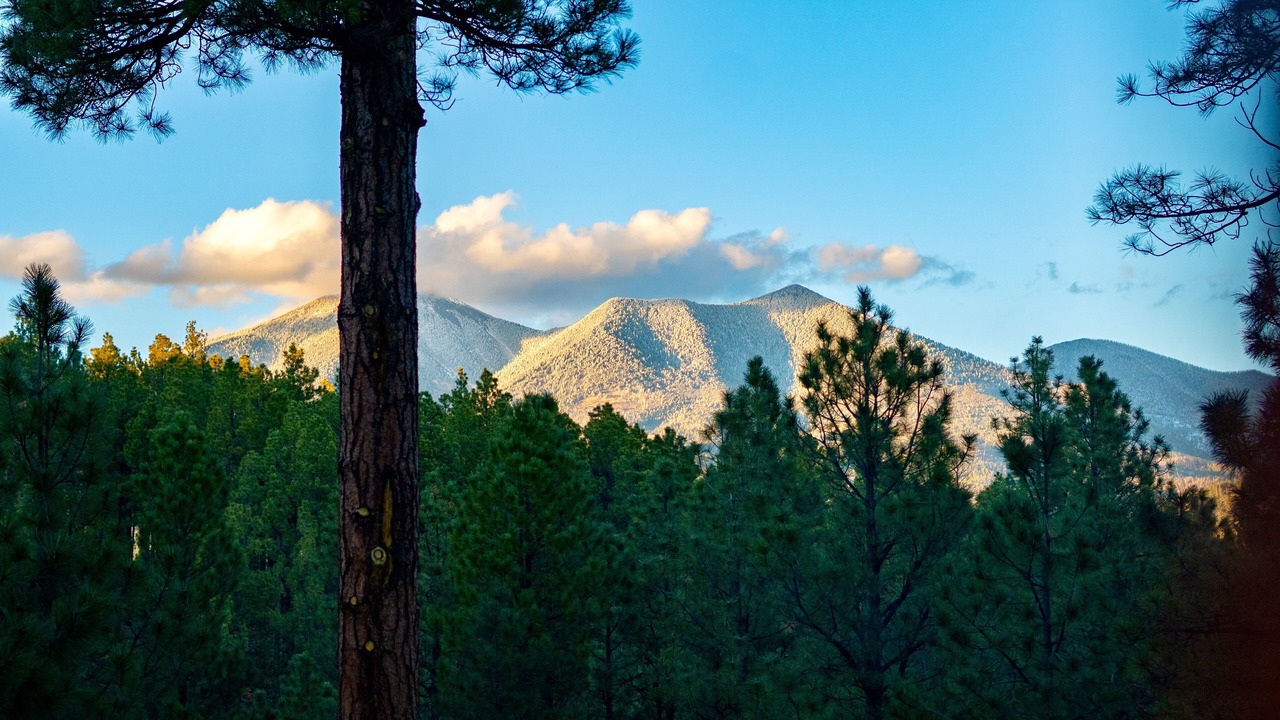 Photo of Others in Flagstaff