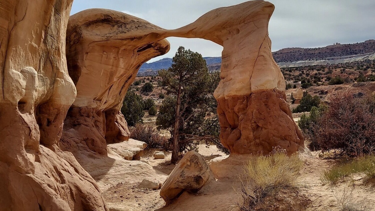 Photo of Others in Escalante
