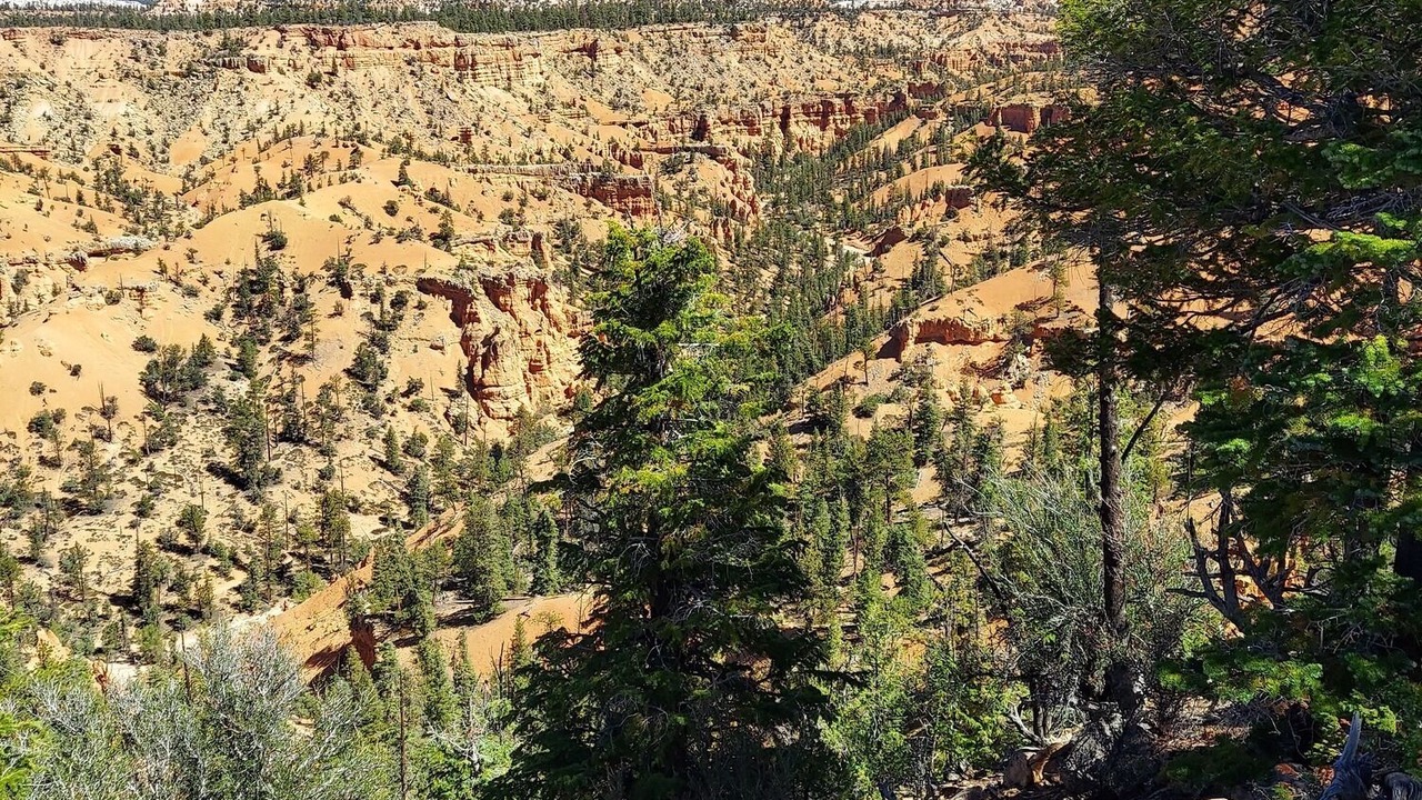 Photo of Others in Escalante