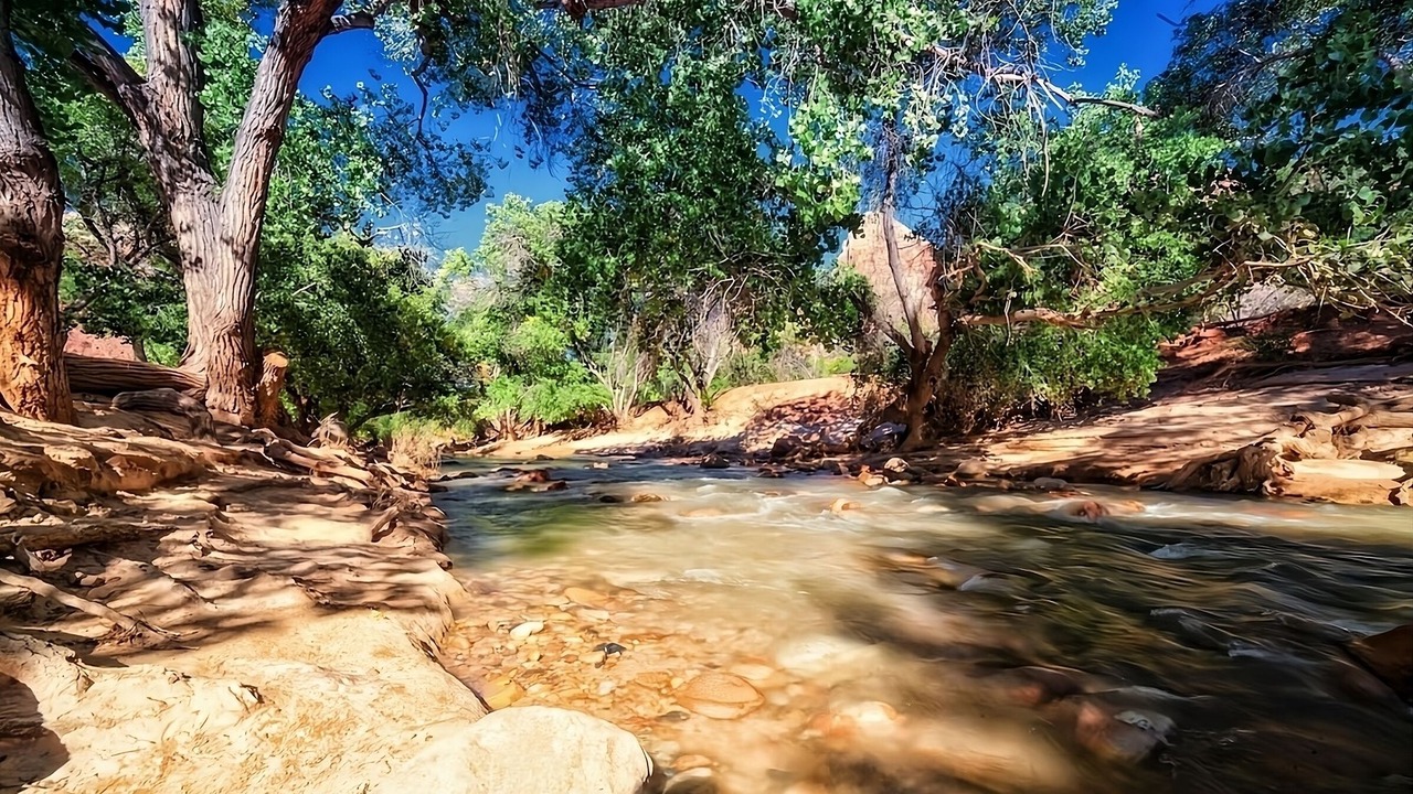 Photo of Outdoor in Zion National Park South Entrance