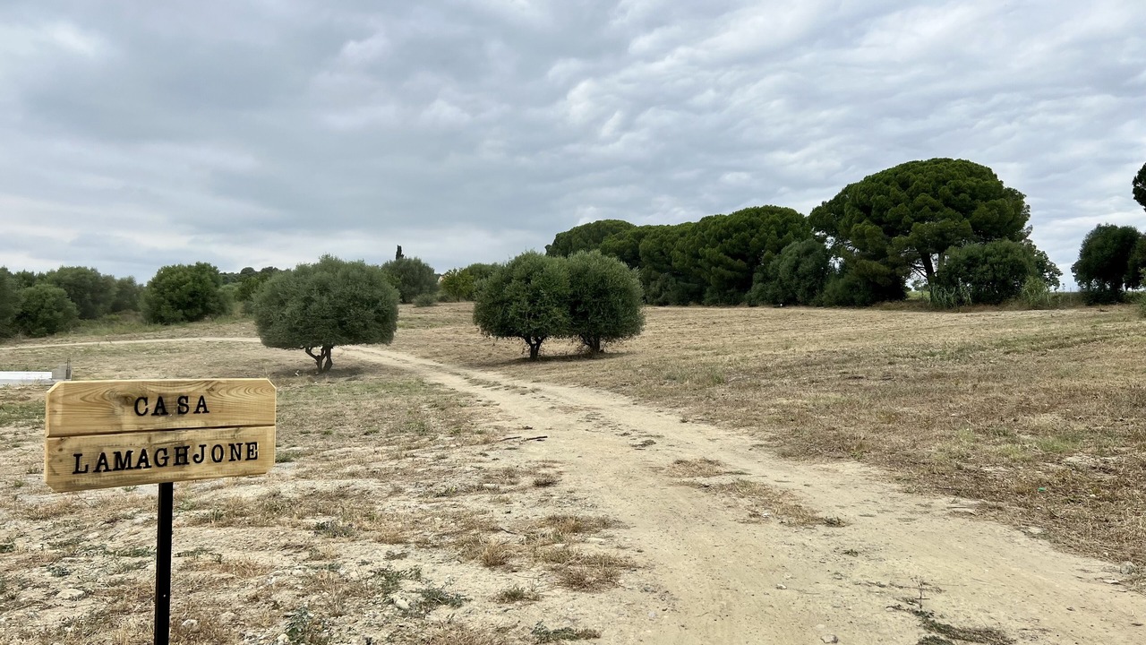 Photo of Outdoor in Aleria