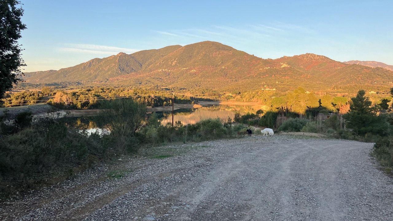 Photo of Outdoor in San-Giuliano