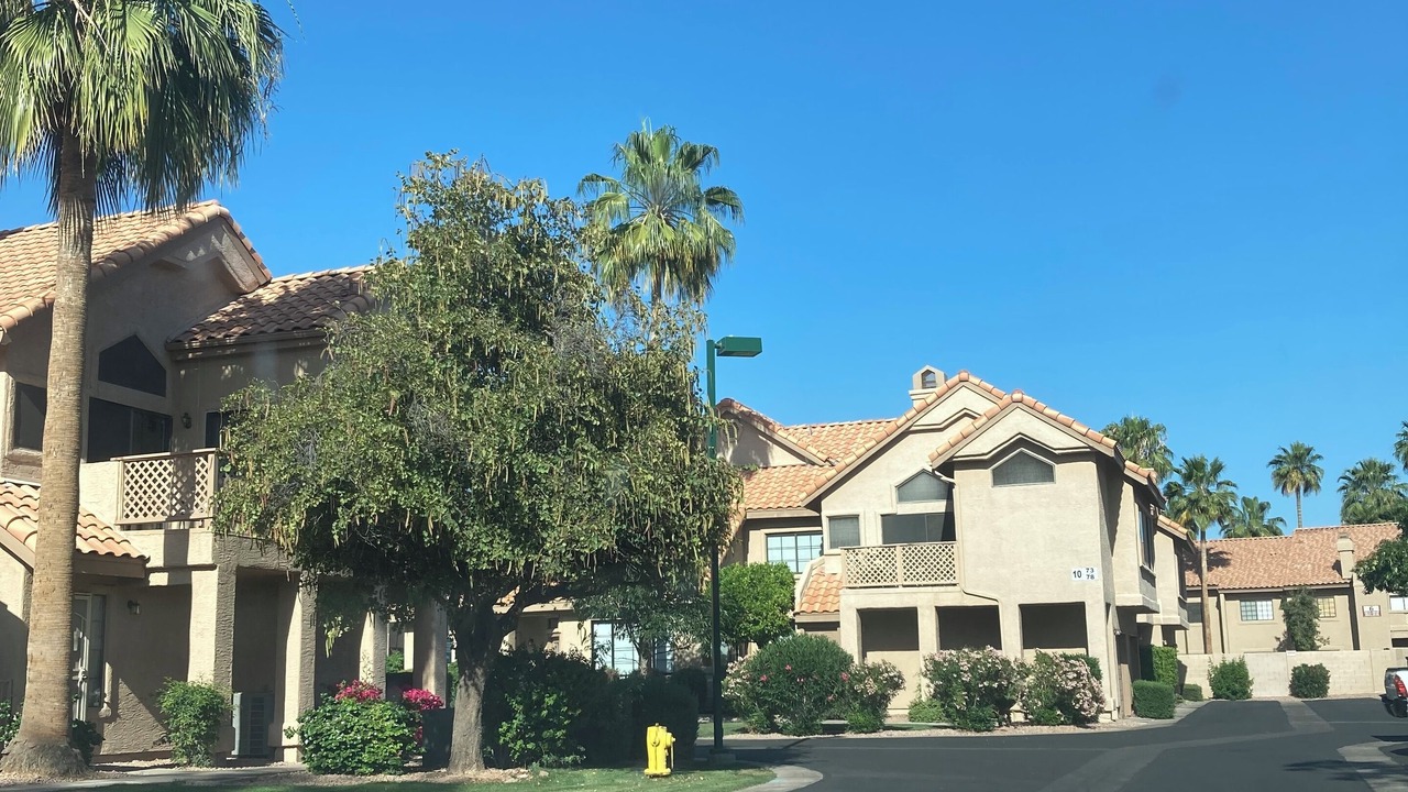 Photo of Others in Mesa