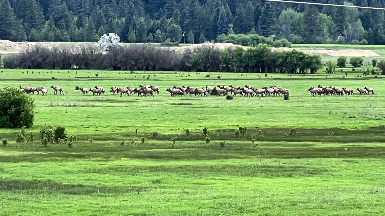 Photo of Others in Garden Valley