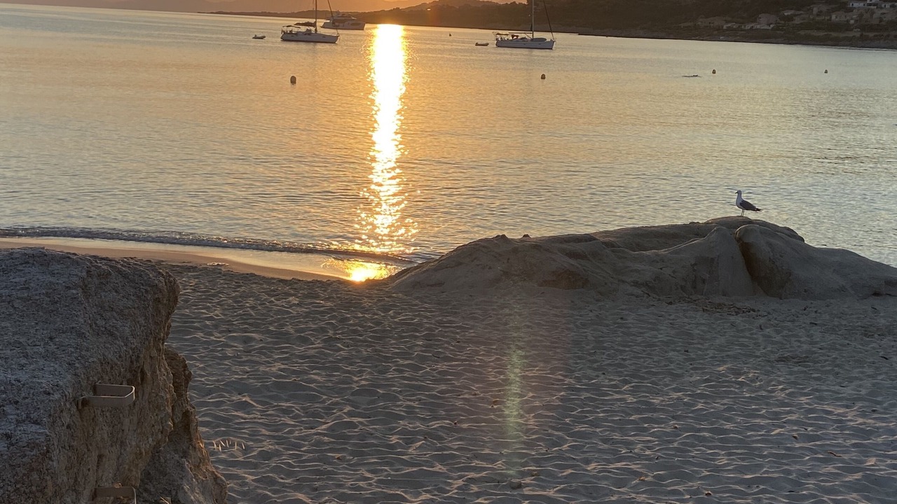 Photo of Others in Marine de Saint Ambroggio